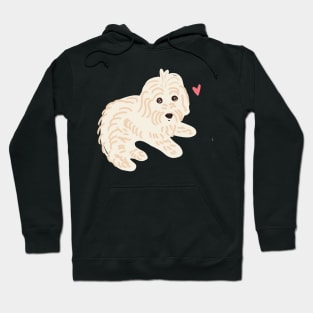 Cute Maltipoo Hoodie